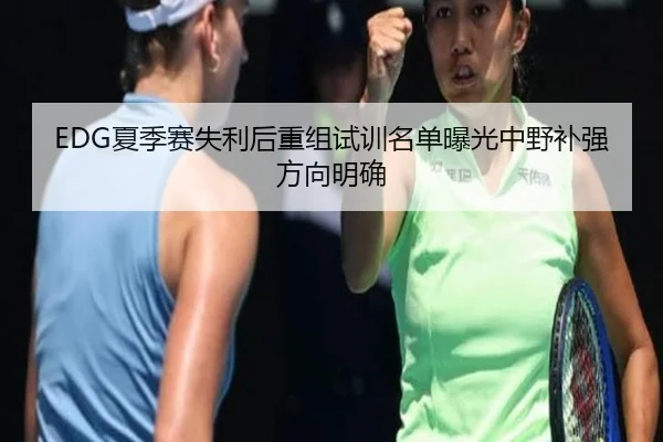 EDG夏季赛失利后重组试训名单曝光中野补强方向明确
